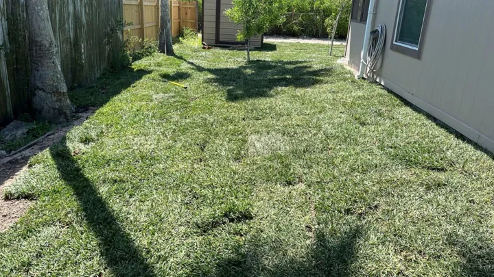 Carpet grass in a side yard from the JS Irrigation Services gallery, photo 29