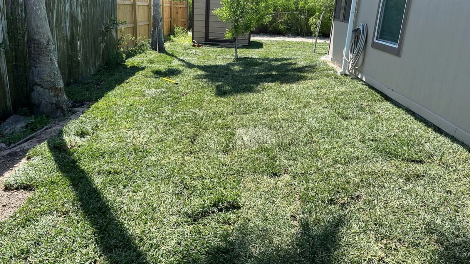 A grassed side yard alongside a home