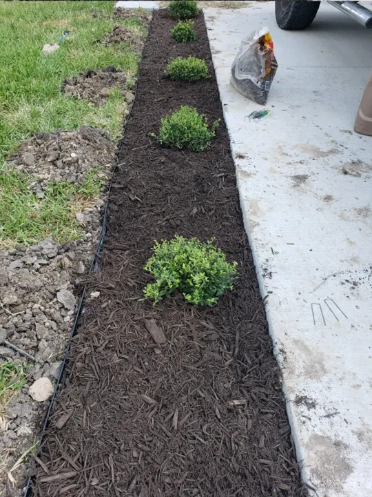 Mulched planting bed from the JS Irrigation Services gallery, photo 31