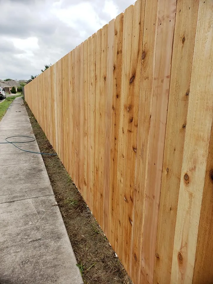 A wooden privacy fence alongside a walkway
