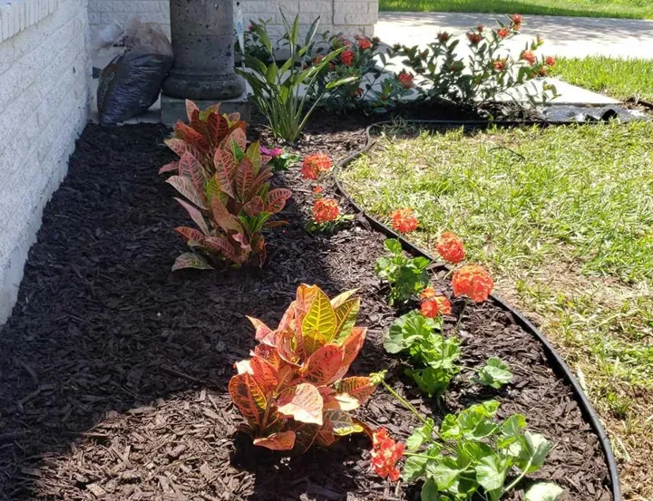 Fresh garden planting from the JS Irrigation Services gallery, photo 110