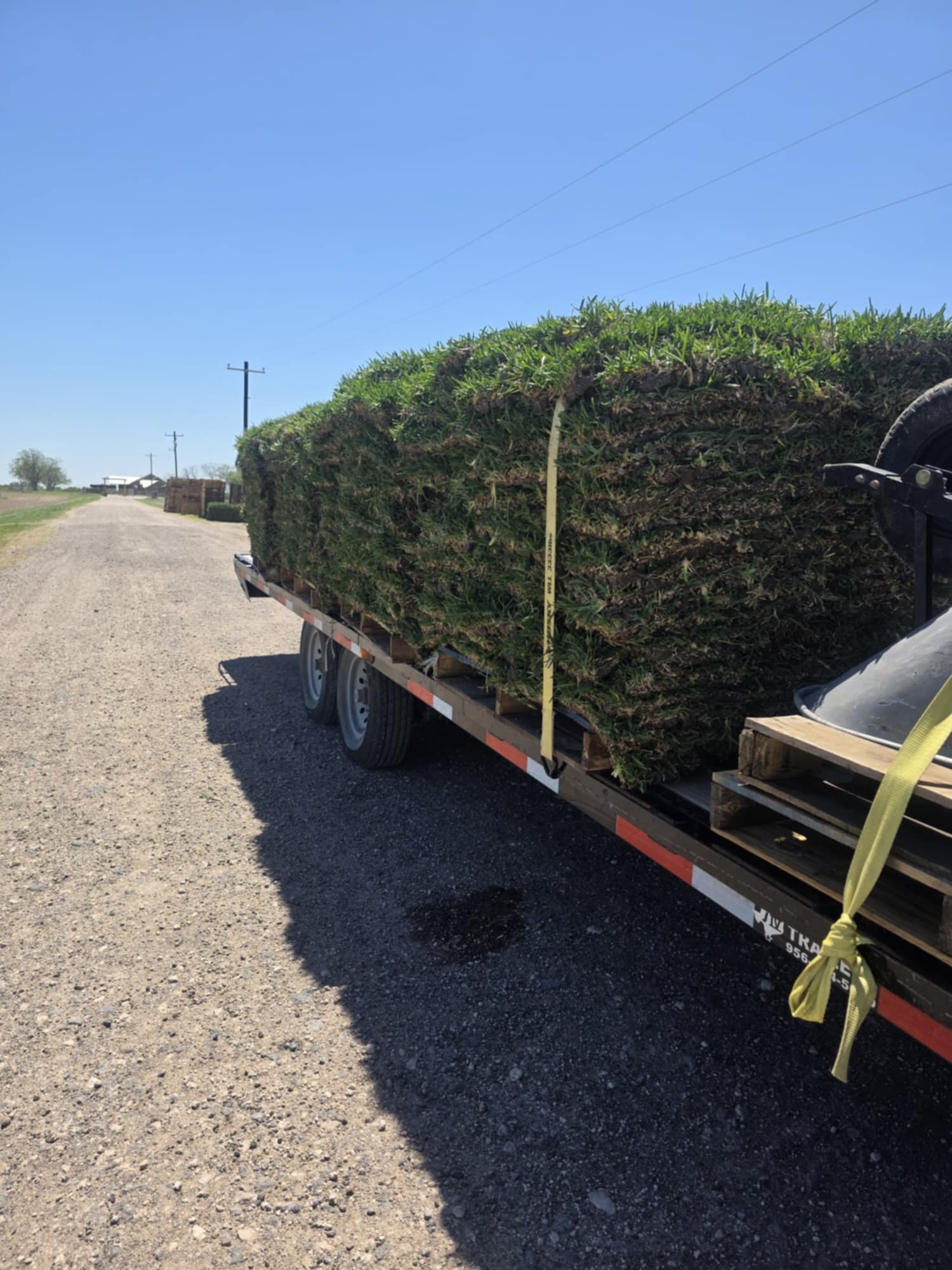Fresh carpet grass stacked on a trailer ready for installation