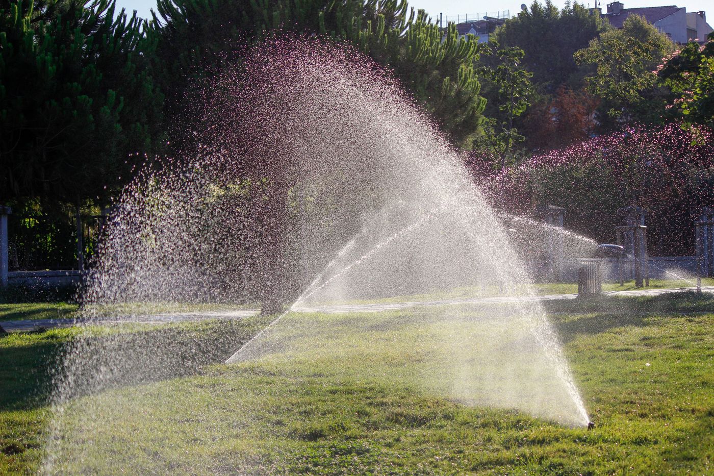 Automatic sprinklers distributing water across a green lawn